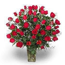 two dozen red roses