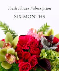 Six Months of Flowers