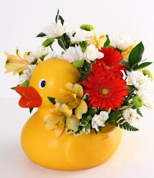 Ducky Delight