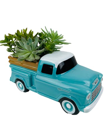 Chevy Pickup Succulent Planter