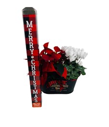 Buffalo Check Gift Package - with Art Pole