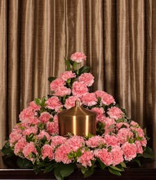 Pink Carnation Memorial 