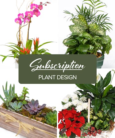 Plant of the Month - Subscription
