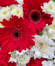 Red and White Arrangement