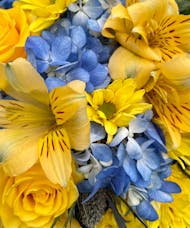 Blue and Yellow Arrangement